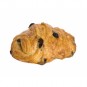 Petit pain au beurre & raisins 75g bio detrog tournai